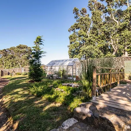 بيت للعطل Azor'oasis *