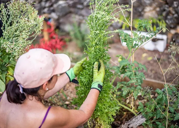 Azor'oasis بيت للعطل